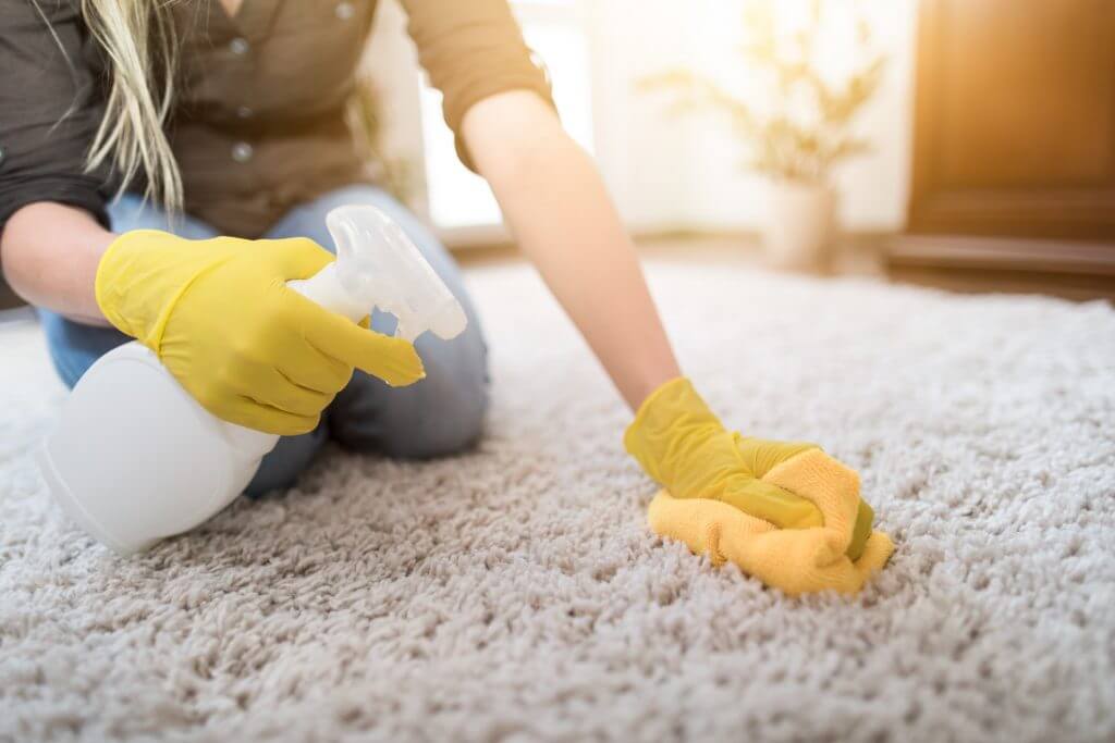 Carpet Cleaning